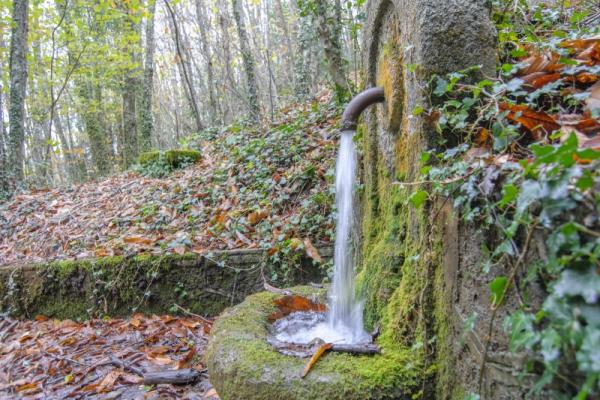 Sendero de las Honfrías