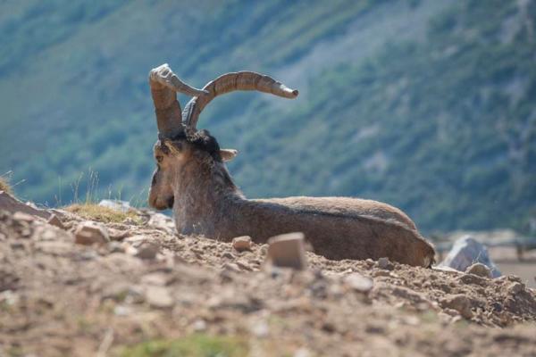 Reserva Regional de Caza de las Batuecas