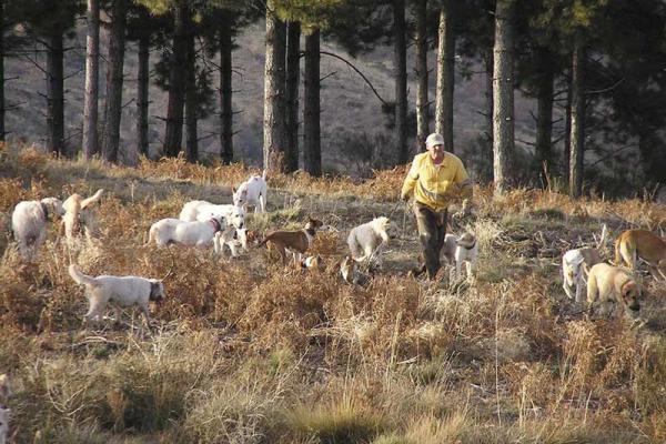 La montería en Salamanca