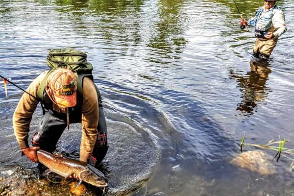 El Salmón del Danubio