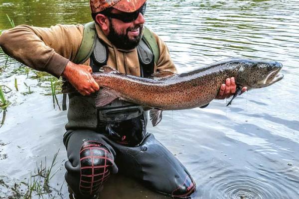 El Salmón del Danubio