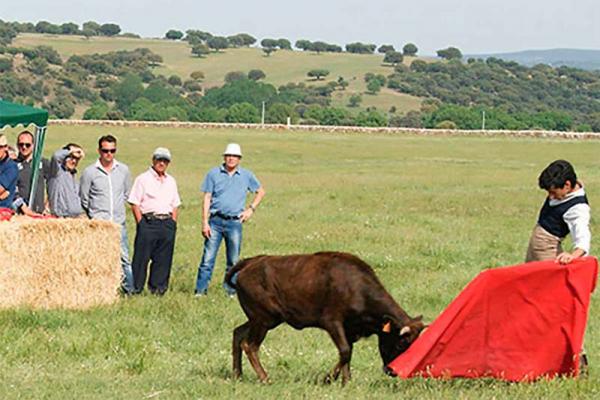 Ganadería Hermanos Valverde. Finca “Valverde de Gonzaliañez”