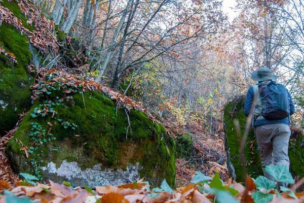 Senderos micológicos