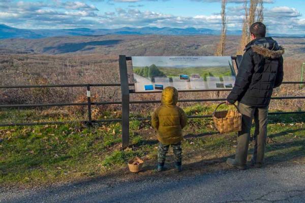 Senderos micológicos