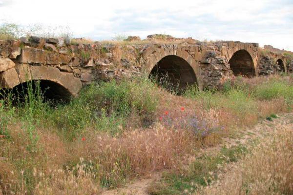 Cañada Real Burgalesa en bicicleta