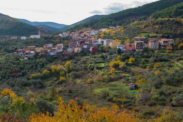 Sendero micológico Cepeda, Madroñal, Herguijuela de la Sierrav