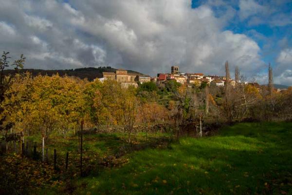 Sendero micológico Cepeda, Madroñal, Herguijuela de la Sierra