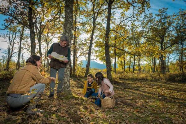 Ruta de los senderos micológicos