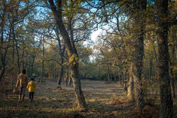 Ruta de los senderos micológicos