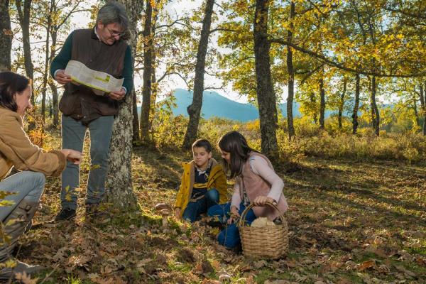 Ruta de los senderos micológicos