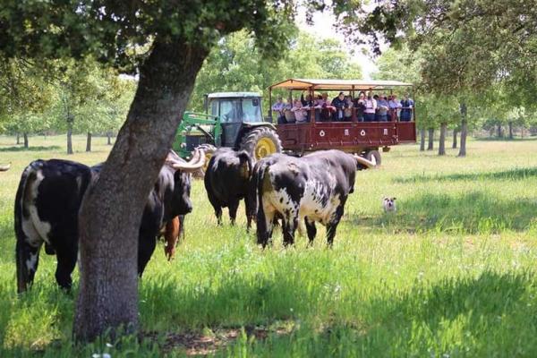 José Enrique Fraile de Valdefresno