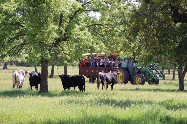 José Enrique Fraile de Valdefresno