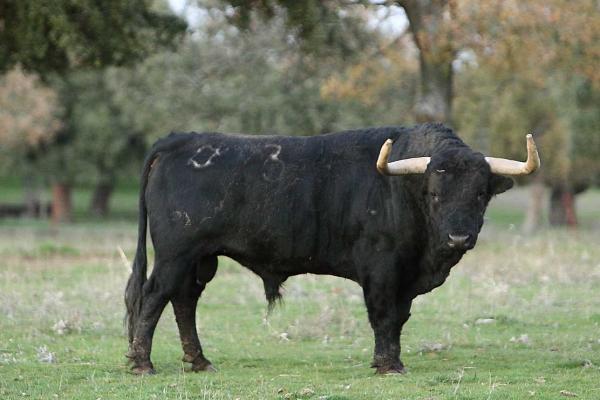 José Enrique Fraile de Valdefresno