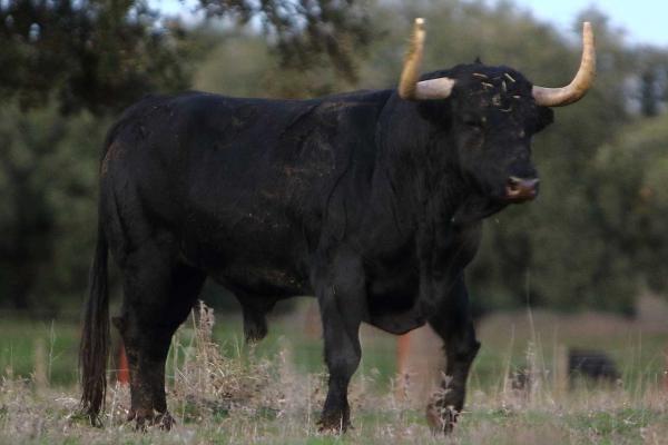 José Enrique Fraile de Valdefresno