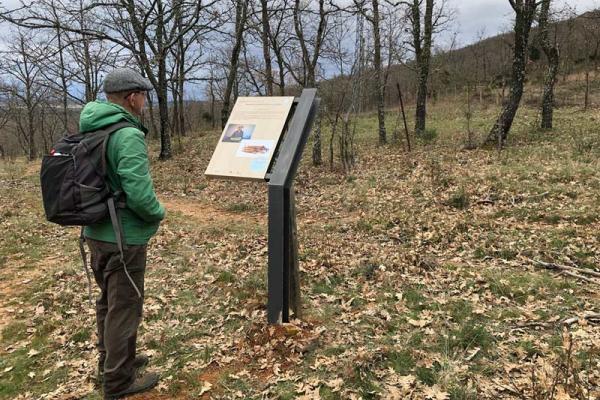 Sendero micológico "Tamames, Aldeanueva de la Sierra"
