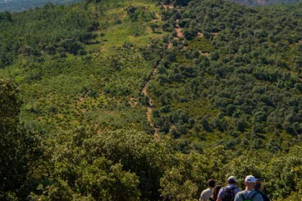 Sendero micológico "Tamames, Aldeanueva de la Sierra"