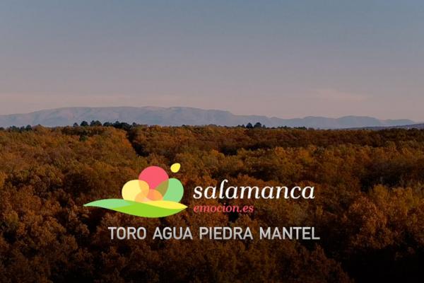 Imagen del video spot Salamanca Emociones: Toro, agua, piedra, mantel