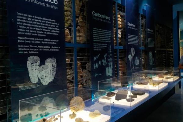 A rota dos vestígios fósseis: Um passeio pelos antigos mares de  Monsagro