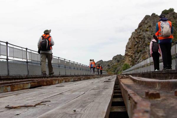 Camino de hierro imagen 2