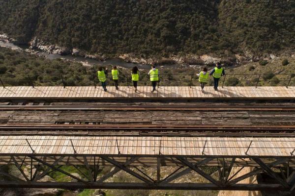 Camino de hierro imagen 5