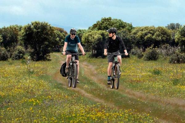 real burgalesa ventana