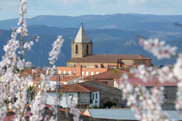 La Fregeneda. Almendros