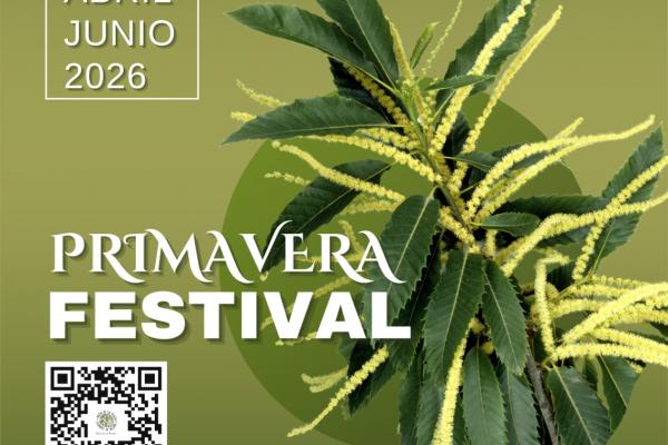 La Candela Primavera 2026