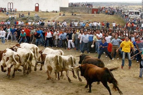 Los Espantor Ledesma