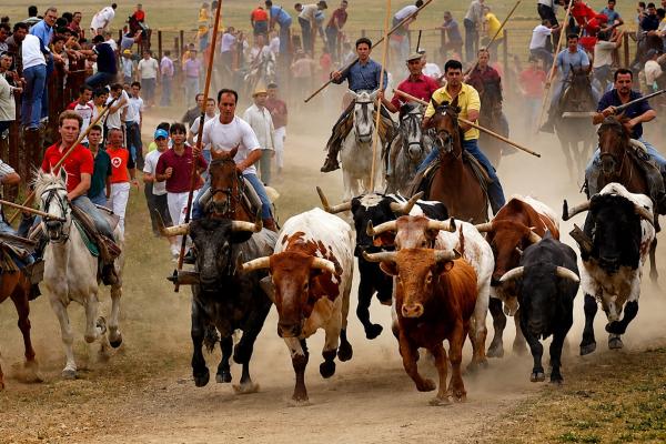 Los espantos Ledesma