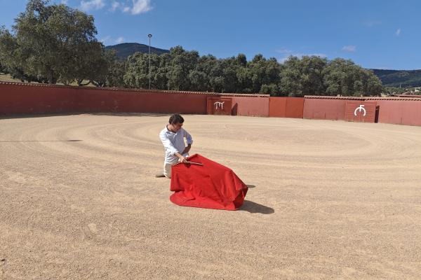 Toro bravo y dehesa