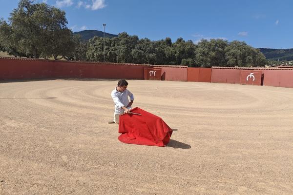 Toro bravo y la dehesa