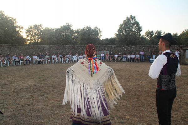 Toro brovo y la dehesa