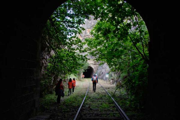 Camino de Hierro