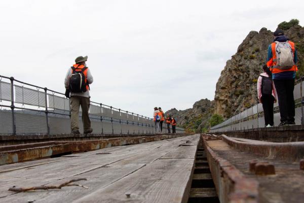 Camino de Hierro