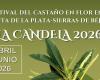 La Candela Primavera 2026
